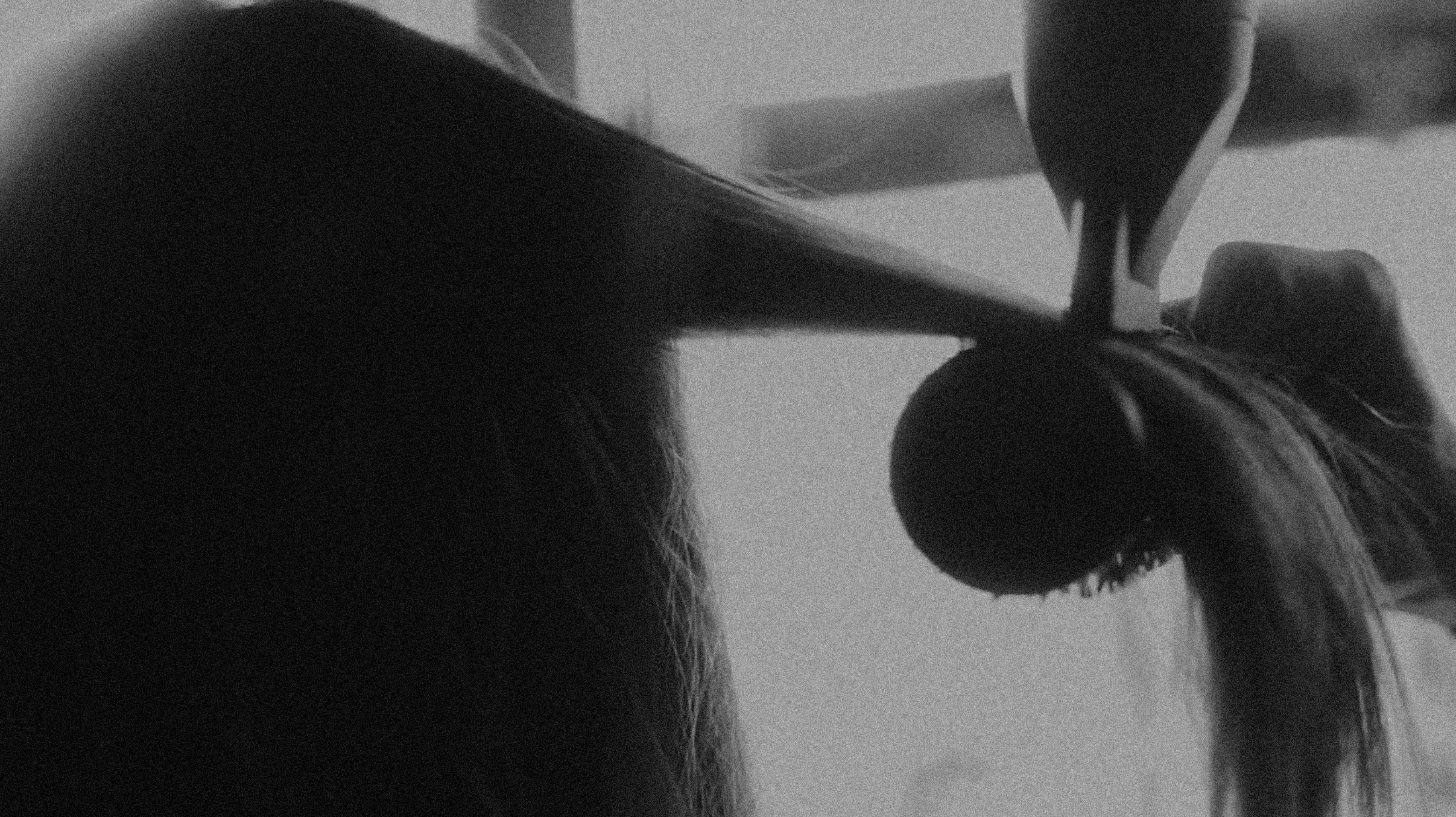 Carousel Image 5